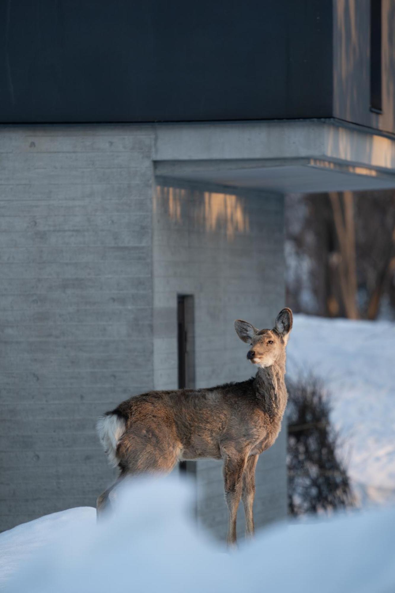 Chalet Ivy Jozankei Sapporo Exterior foto